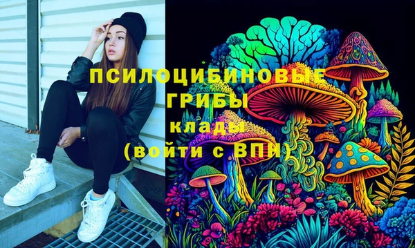 2c-b Абдулино