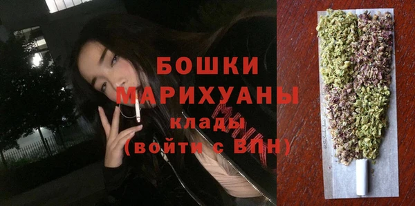 спиды Новозыбков