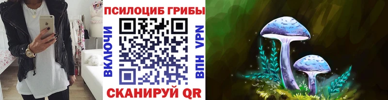 Галлюциногенные грибы Psilocybine cubensis  где продают наркотики  Ряжск 